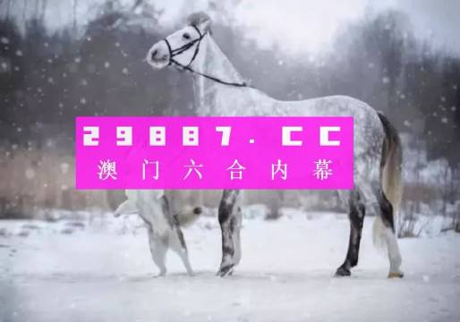 澳门一肖一码，揭秘精准预测与全面释义的奥秘