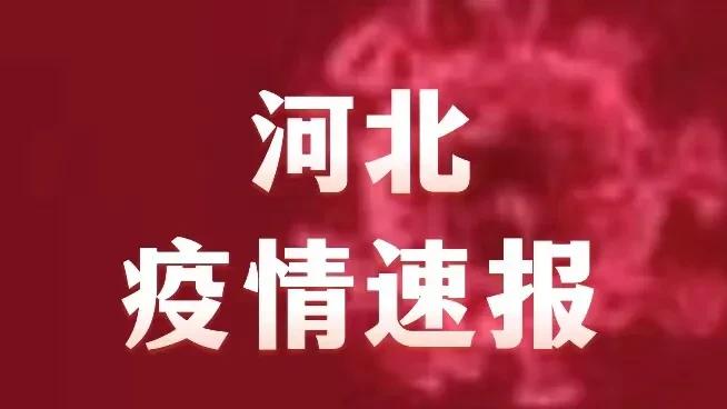 河北疫情最新通报详细，抗击疫情的最新进展与措施