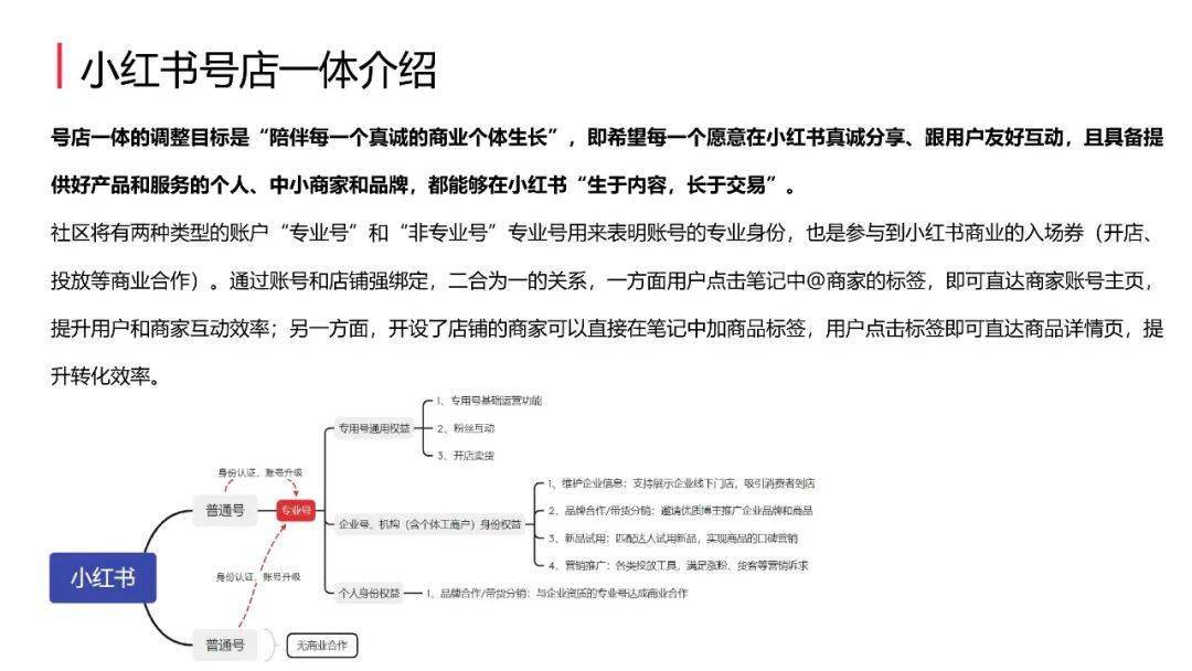 小红书店铺最新规则解析