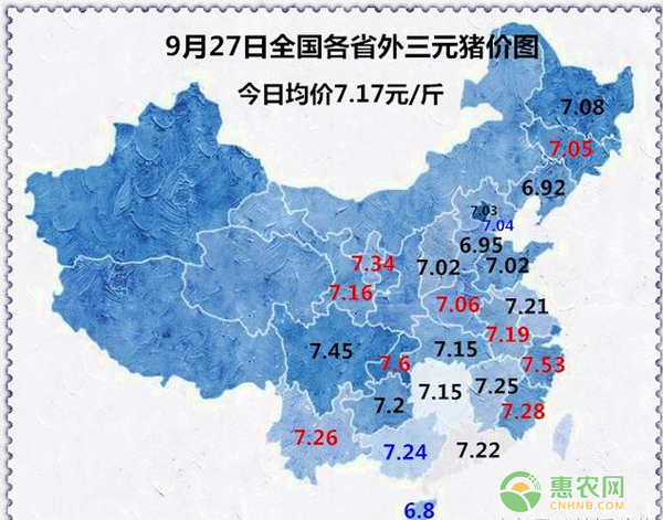 全国猪价最新今日行情分析