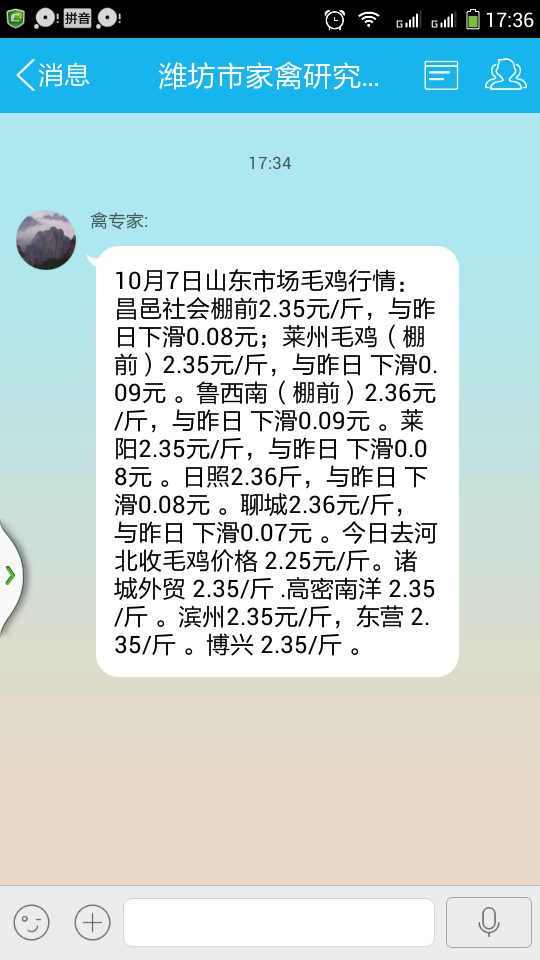 毛鸡最新消息，行业动态与市场趋势分析