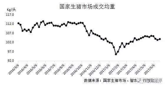 最新生猪交易价格动态分析