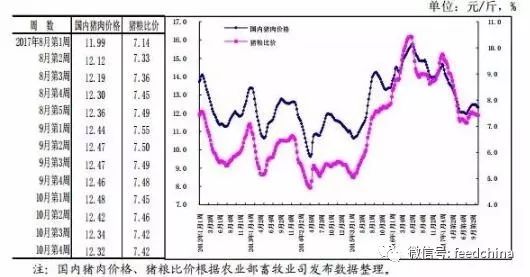 连云港最新猪价动态分析