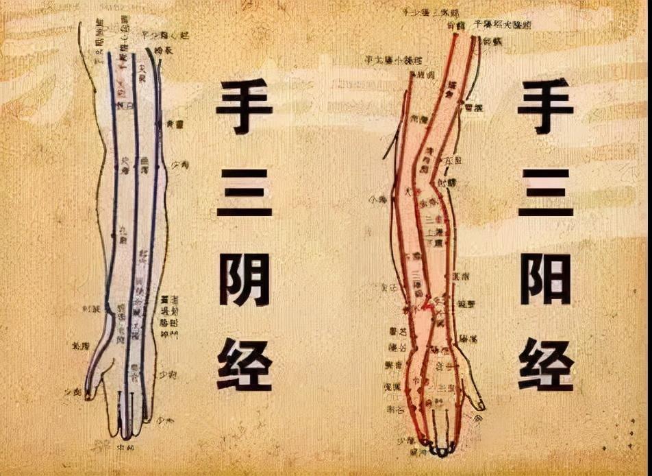 苹果12手机最新动态与技术特性解析