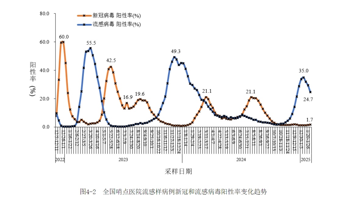 新冠病毒最新研究数据，全球科研进展与未来挑战