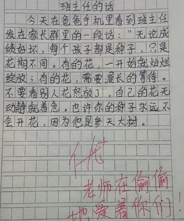 关于可馨作文事件最新的分析与观察