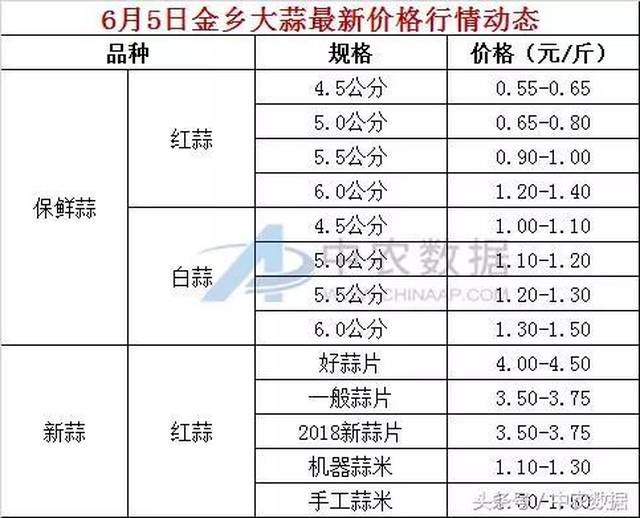 金乡大蒜最新价格今天收购动态